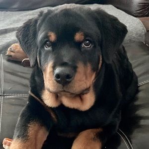 Meet your Posher, Aidan